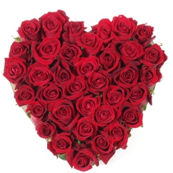 l'amour