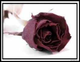 Douleur